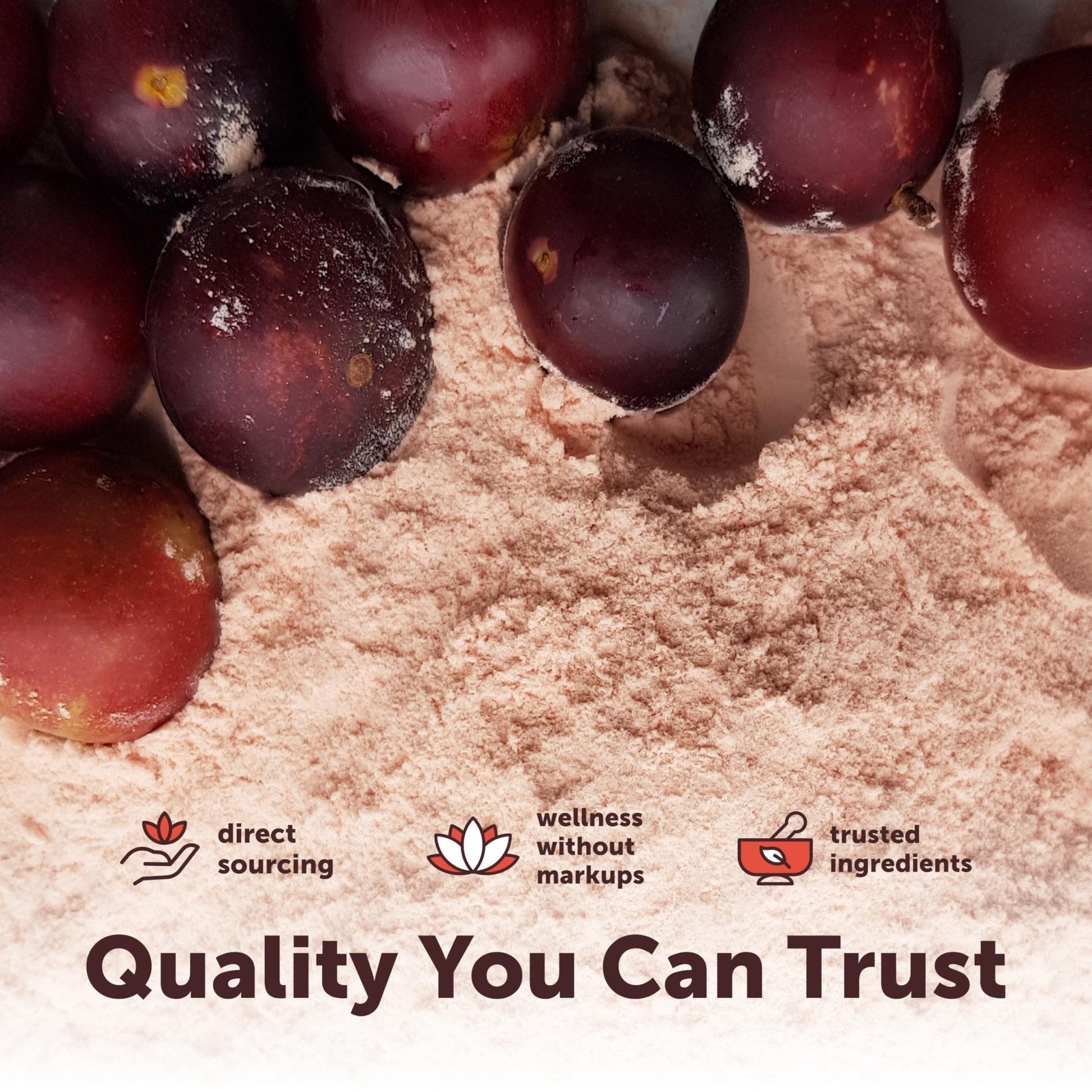 Micro Ingredients Organic Camu Camu Powder, 12 oz | Freshly Harvested Berry | Source of Naturally Occurring Vitamin C | Non-GMO, Vegan Friendly - PrimeBioHealth - canada supplements