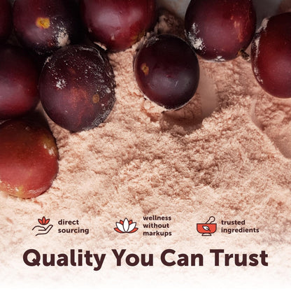 Micro Ingredients Organic Camu Camu Powder, 12 oz | Freshly Harvested Berry | Source of Naturally Occurring Vitamin C | Non-GMO, Vegan Friendly - PrimeBioHealth - canada supplements