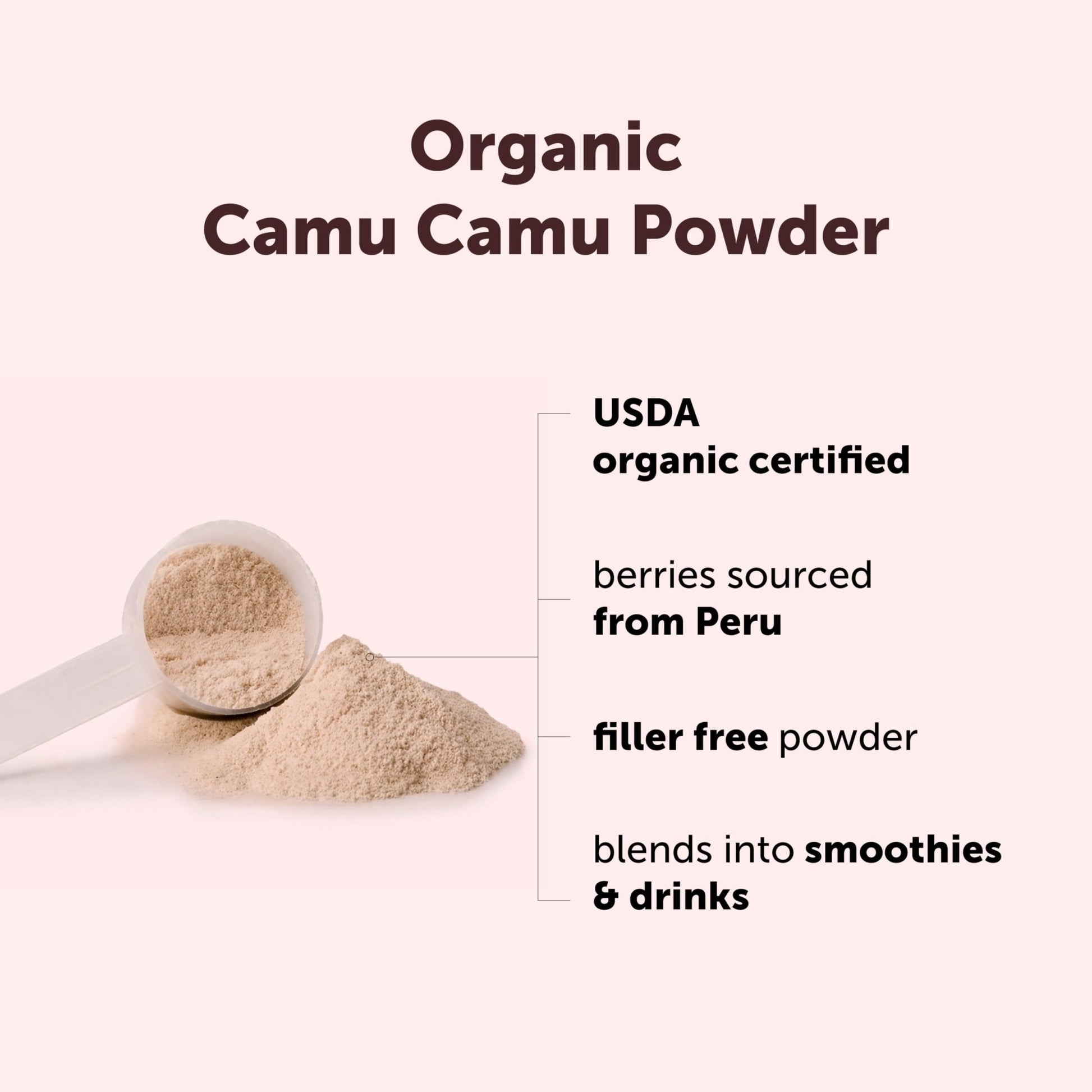 Micro Ingredients Organic Camu Camu Powder, 12 oz | Freshly Harvested Berry | Source of Naturally Occurring Vitamin C | Non-GMO, Vegan Friendly - PrimeBioHealth - canada supplements
