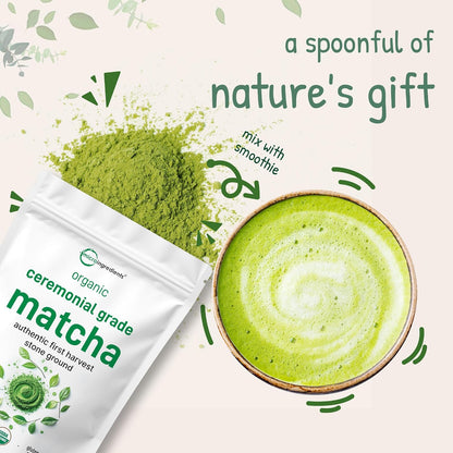 Micro Ingredients Organic Ceremonial Grade Matcha Powder, 100 Servings | Authentic Japanese First Harvest Matcha Green Tea Powder For Barista-Grade Latte, Beverage & Baking - PrimeBioHealth - canada supplements