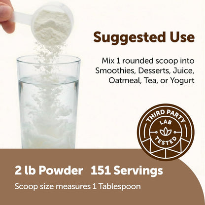 Micro Ingredients Organic Coconut Milk Powder, 2 Lb | Plant-Based Creamer for Coffee, Tea & Smoothies | Rich & Creamy, Easy Mixing | Non-GMO, Gluten-Free, Keto & Paleo Friendly - PrimeBioHealth - canada supplements