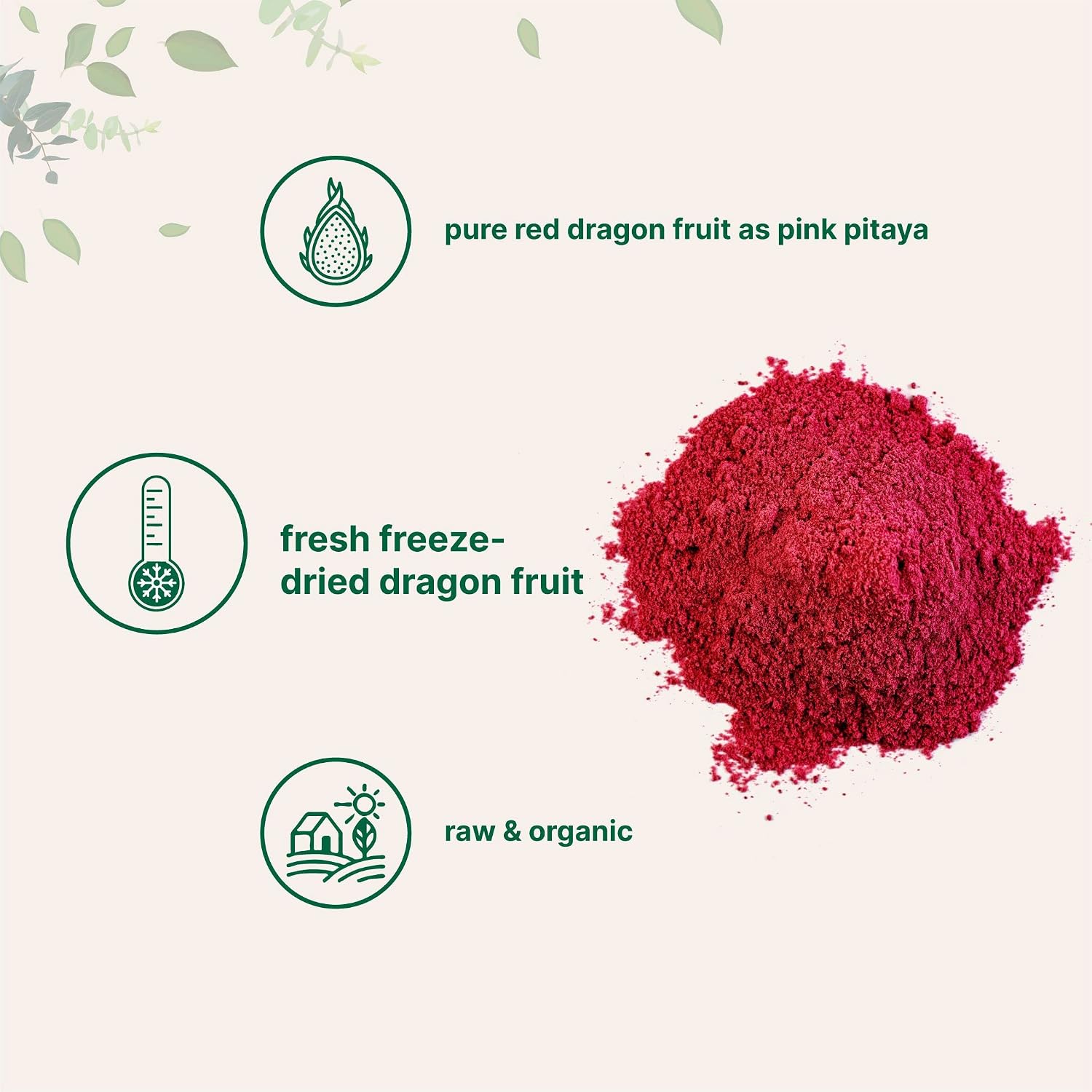Micro Ingredients Organic Dragon Fruit Powder, 10oz | Natural Fruit Flavor | Freeze-Dried Pink Pitaya Source | No Sugar & Additives | Great for Drinks, Smoothie, & Beverages | Non-GMO & Vegan Friendly - PrimeBioHealth - canada supplements