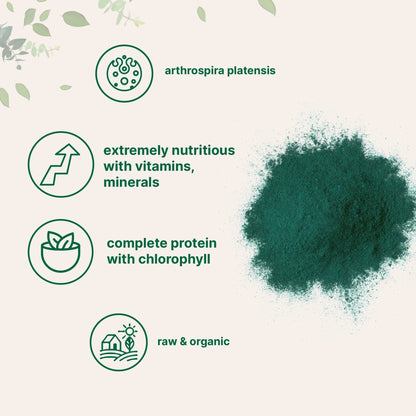 Micro Ingredients Organic Spirulina Powder, 1lb | Blue-Green Algae, Rich in Vegan Protein, Vitamins & Minerals | Source of Natural Chlorophyll & Enzymes - PrimeBioHealth - canada supplements