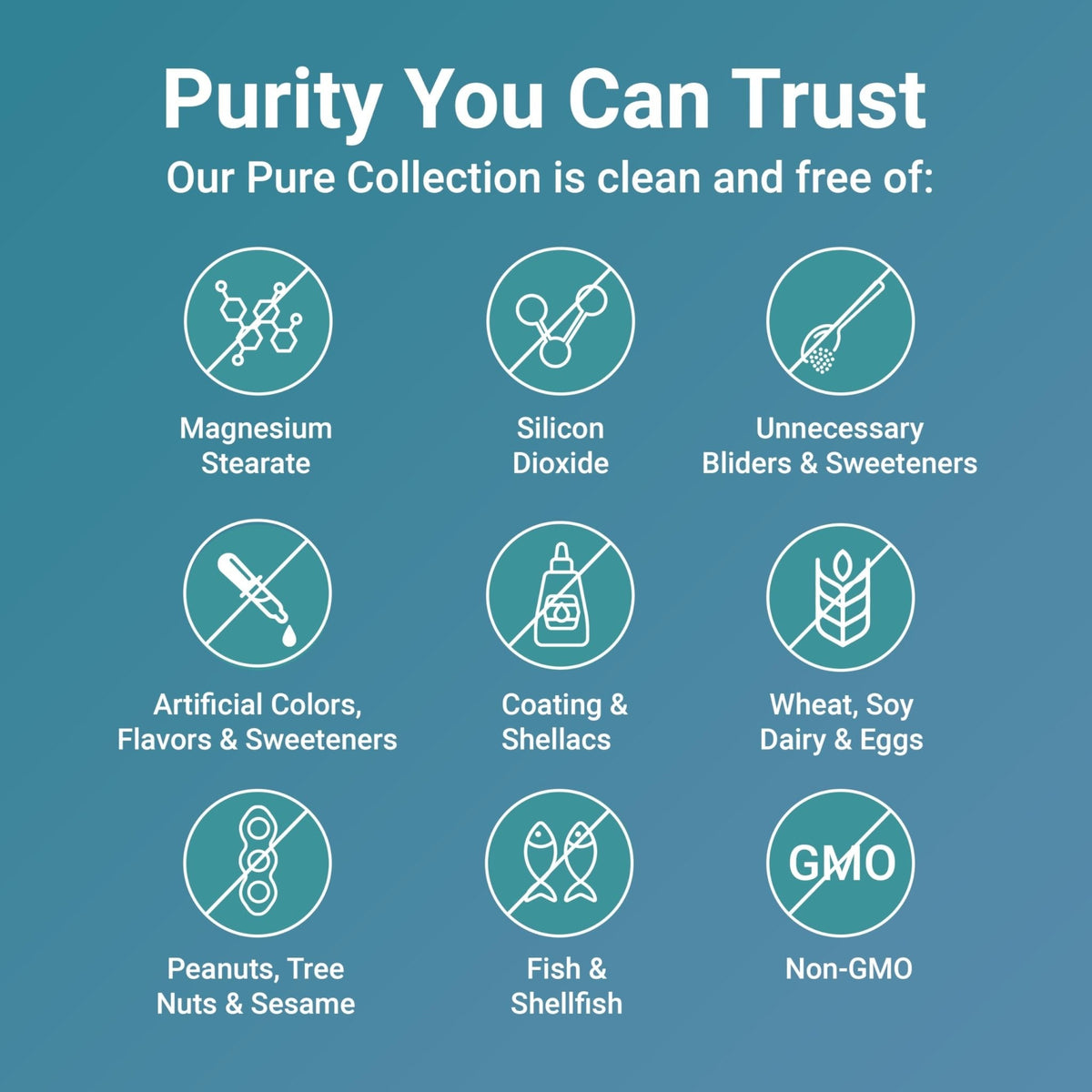Micro Ingredients Pure Methylated Multivitamin, 240 Capsules | 19-in-1 Formula with Vitamins C, D, B12, Folate, Magnesium, Zinc & More | Filler Free, Non-GMO - PrimeBioHealth - canada supplements