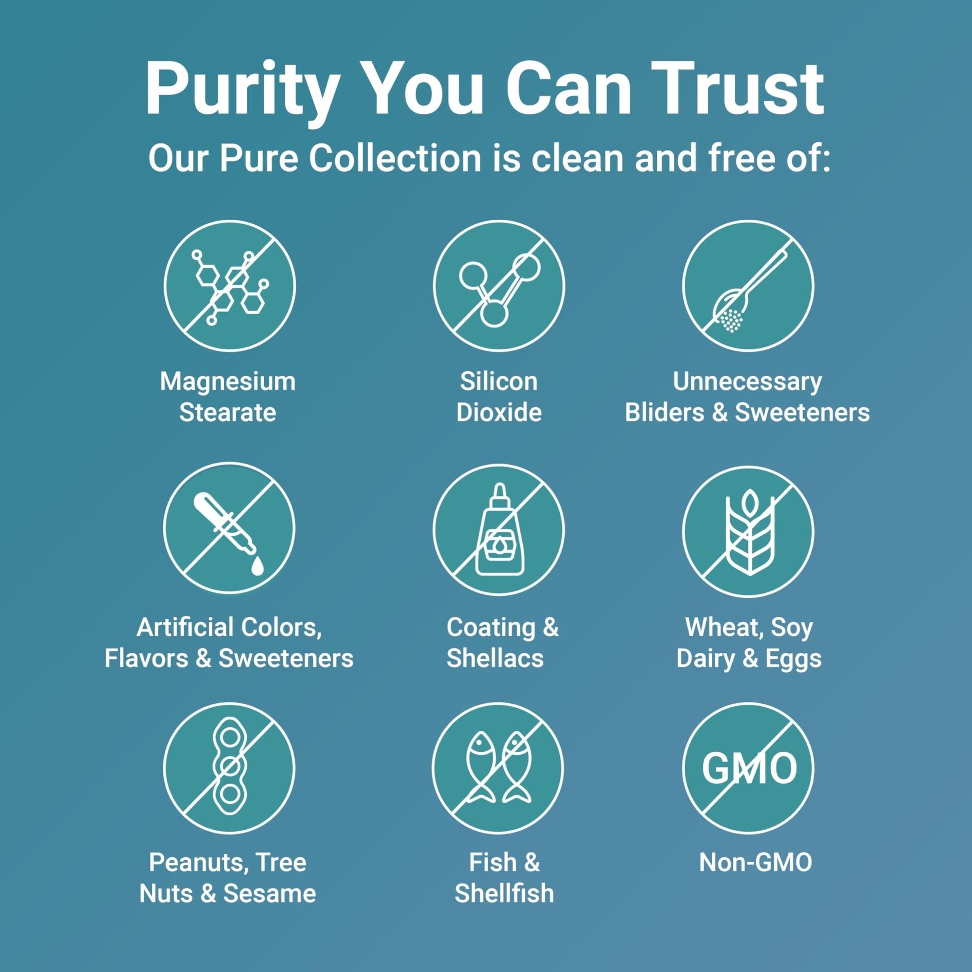 Micro Ingredients Pure Methylated Multivitamin, 240 Capsules | 19-in-1 Formula with Vitamins C, D, B12, Folate, Magnesium, Zinc & More | Filler Free, Non-GMO - PrimeBioHealth - canada supplements