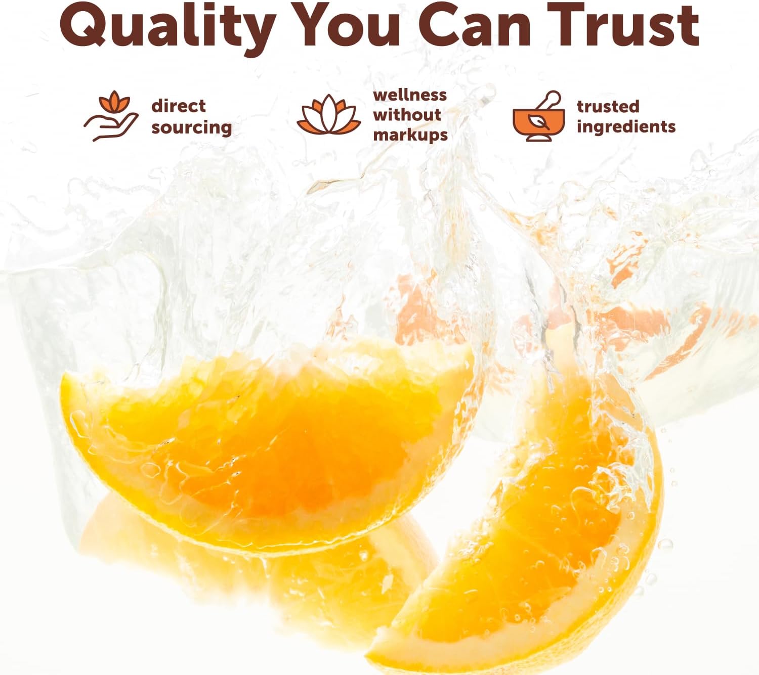 Micro Ingredients Quercetin with Vitamin C & Zinc, 240 Capsules | 6‑in‑1 Formula with Quercetin, Vitamin C & 4 Zinc Forms (Picolinate, Citrate, Glycinate, Gluconate) | Non‑GMO - PrimeBioHealth - canada supplements