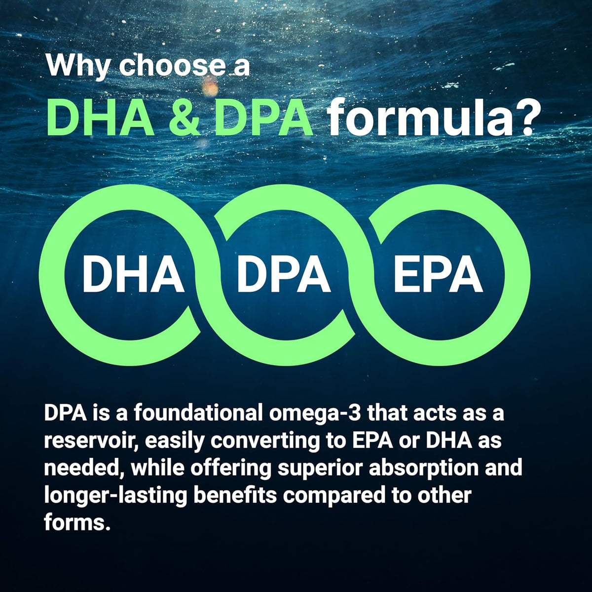 Micro Ingredients Vegan Omega 3 Algae Oil, 240 Veggie Softgels | Fish Oil Alternative | DHA 500mg & DPA 100mg | Carrageenan Free | Plant-Based Omega 3 with Flaxseed & ALA | Lemon Flavored - PrimeBioHealth - canada supplements
