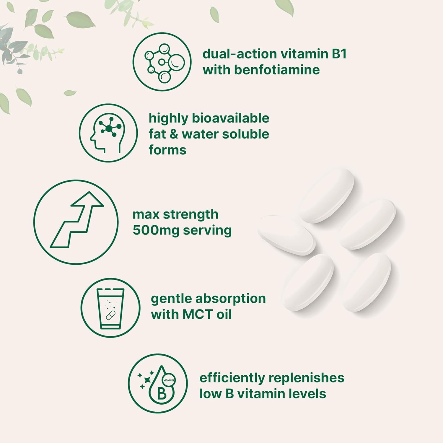 Micro Ingredients Vitamin B1 Thiamine 500mg with Benfotiamine & MCT Oil, 240 Softgels | Highly Bioavailable Thiamine Supplement for Energy & Nervous System Support* | Non-GMO, Soy Free - PrimeBioHealth - canada supplements