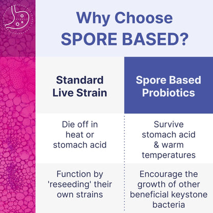 Microbiome Labs MegaSporeBiotic Probiotics for Women & Men - Spore-Based Probiotic for Gut Health & Digestive Support - Shelf-Stable, Travel-Friendly - PrimeBioHealth - canada supplements