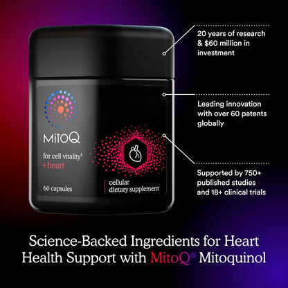 MitoQ Ultimate Antioxidant Bundle: Mitochondria-Targeted and Heart Health Antioxidant Supplements | Supports Cellular Longevity, Cardiovascular Health, Energy, and Healthy Aging (2 x 60 Capsules) - PrimeBioHealth - canada supplements