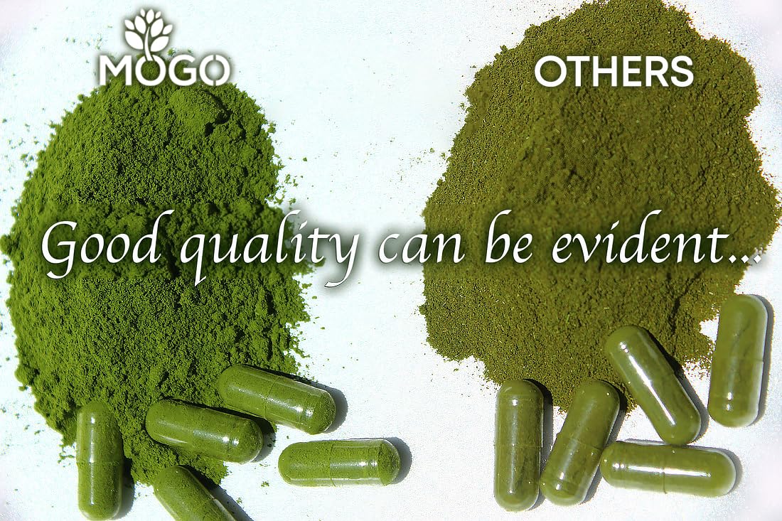 MOGO Moringa Capsules -180 Ct| Boost Energy, Immune, Gut, Joint Support | Made with Pure Organic Moringa Powder Organic Capsules | Made in USA - PrimeBioHealth - canada supplements
