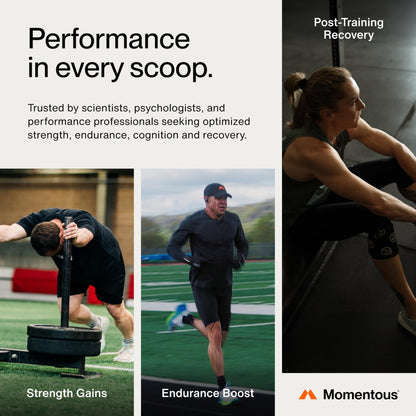 Momentous Creatine Monohydrate Powder - Creatine Powder - Supports Strength, Lean Muscle, & Recovery for Men & Women - NSF Certified for Sport - 5 g per Serving - 90 Servings - PrimeBioHealth - canada supplements