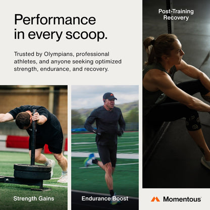 Momentous Creatine Monohydrate Powder - Creatine Powder - Supports Strength, Lean Muscle, & Recovery for Men & Women - NSF Certified for Sport - 5 g per Serving - 90 Servings - PrimeBioHealth - canada supplements