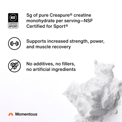 Momentous Creatine Monohydrate Powder - Creatine Powder - Supports Strength, Lean Muscle, & Recovery for Men & Women - NSF Certified for Sport - 5 g per Serving - 90 Servings - PrimeBioHealth - canada supplements