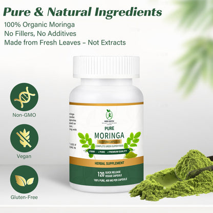 Moringa Capsules, Moringa Pure Capsules For Energy, Immune Support, Gut Health & Powerful Green Superfood, Rich In Antioxidants, Essential Vitamins & Amino Acids - PrimeBioHealth - canada supplements