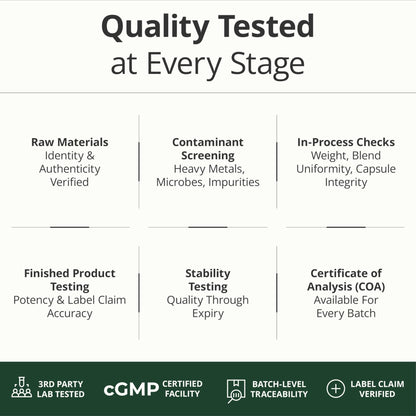 Multivitamin for Men with Methylated Vitamins and Chelated Minerals for Energy, Focus and Immune Health – Premium Daily Mens - PrimeBioHealth - canada supplements