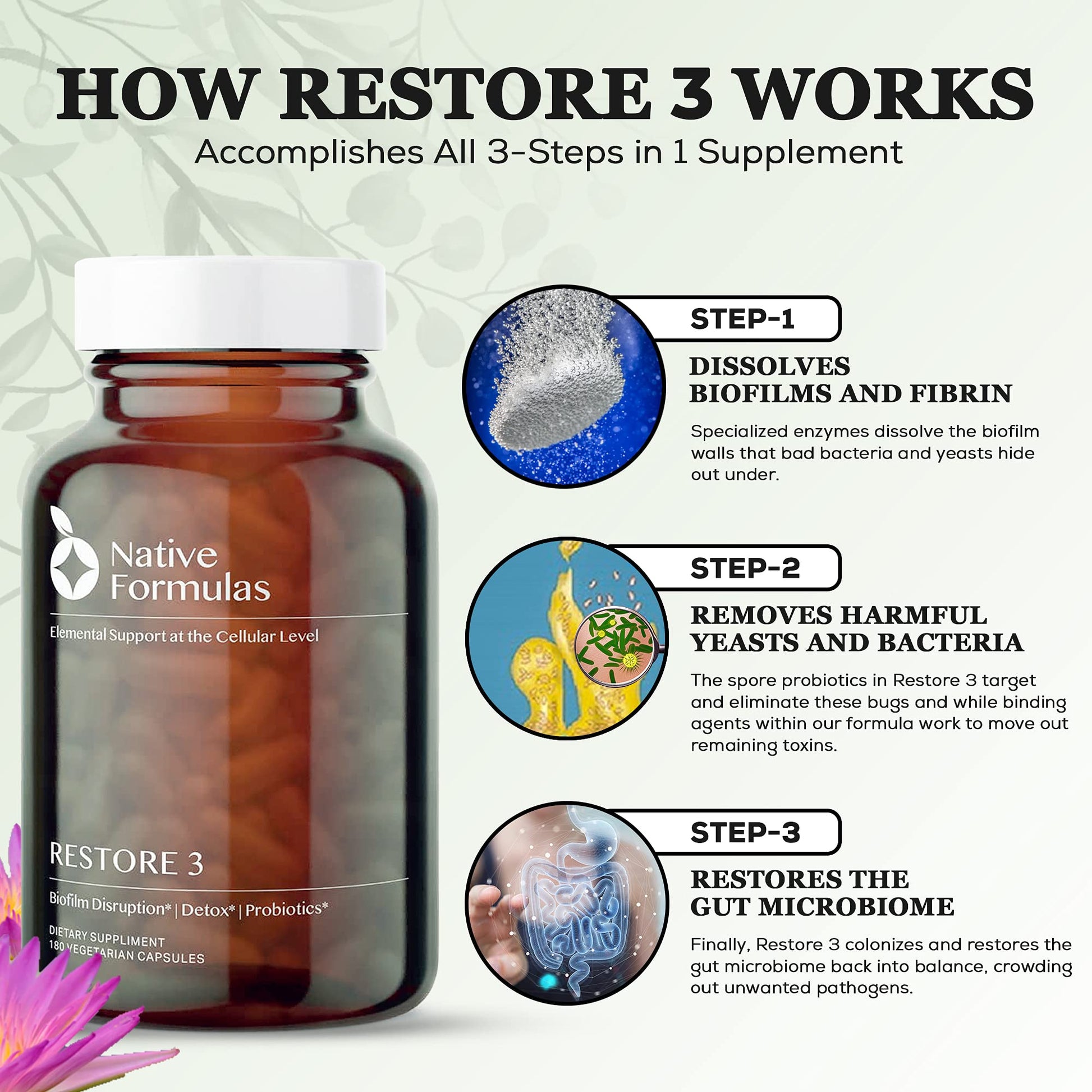 Native Formulas Restore 3 Proteolytic Enzyme & Spore Probiotic Blend Supplement - 60 Capsules - Advanced Biofilm Disruption Aid - PrimeBioHealth - canada supplements