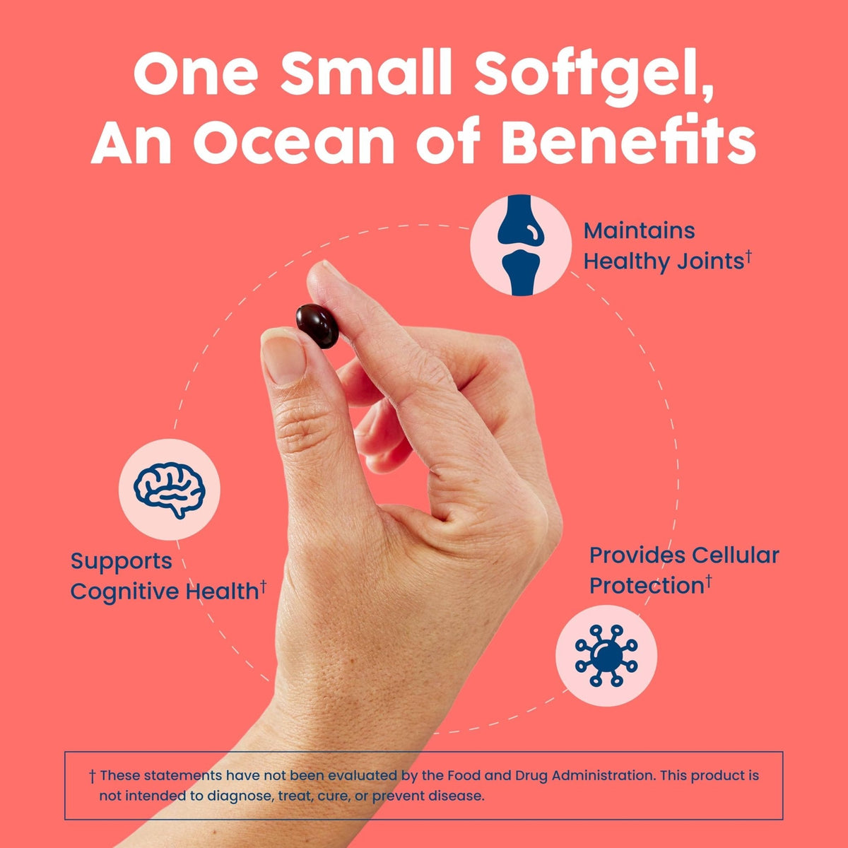 NativePath Antarctic Krill Oil - Wild-Caught Omega 3 Krill Oil 500mg Softgels with EPA, DHA and Astaxanthin - Supplement for Joint, Hear - PrimeBioHealth - canada supplements