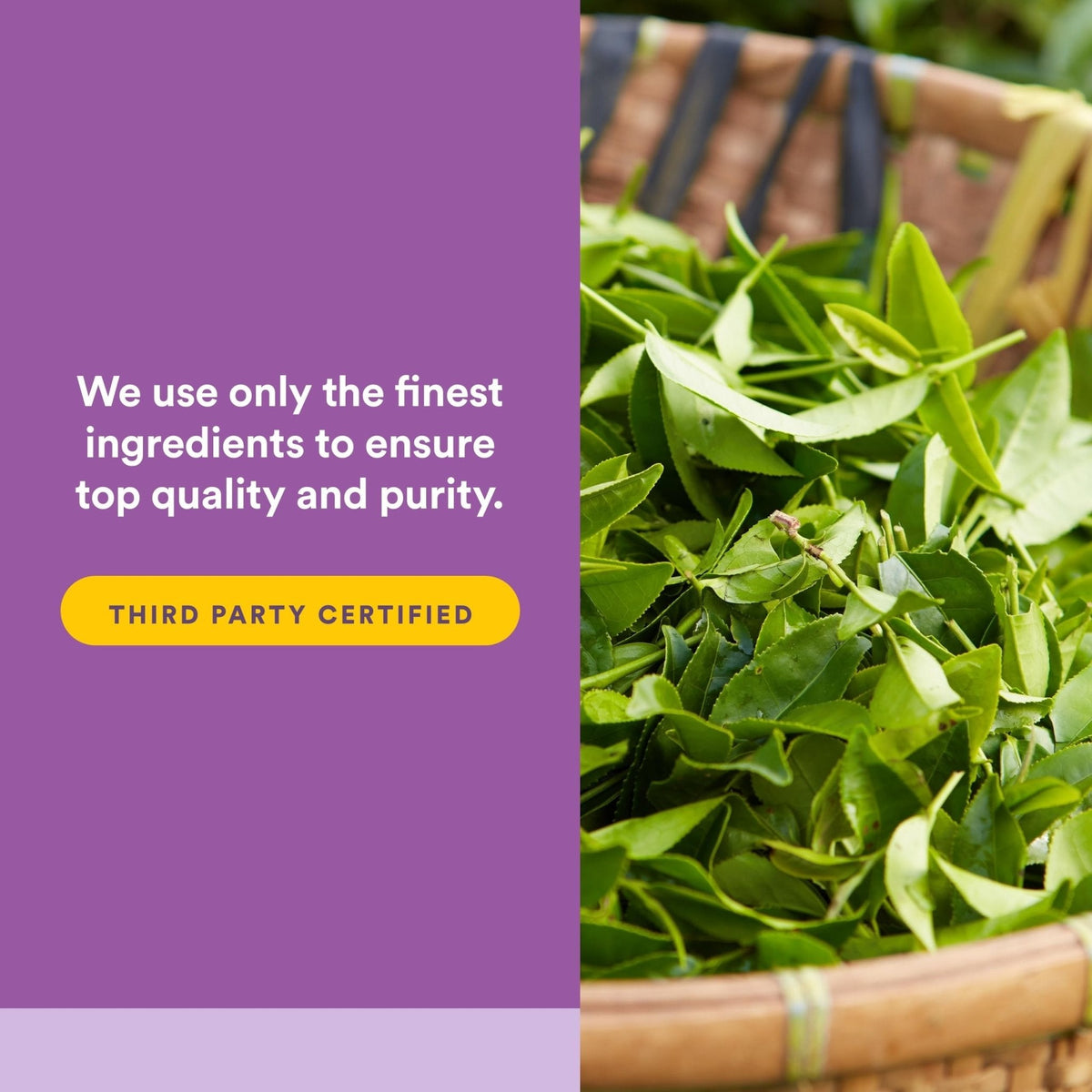 Natural Factors Stress-Relax Tranquil Sleep Tablet, 120 Count - PrimeBioHealth - canada supplements
