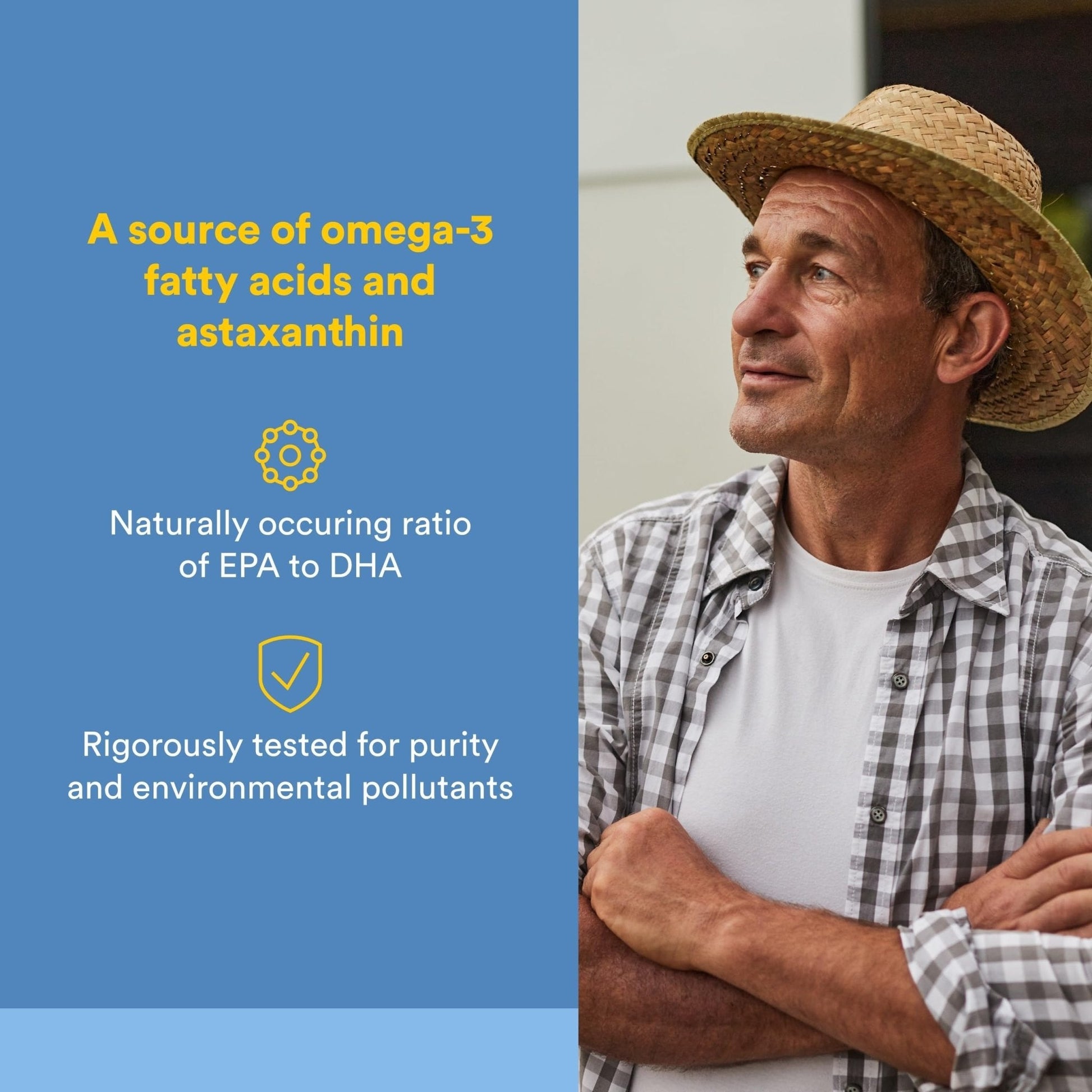 Natural Factors Wild Alaskan Salmon Oil Provides Omega-3, EPA, DHA & Vitamin D, Supports Brain & Heart Health, 180 Softgels - PrimeBioHealth - canada supplements