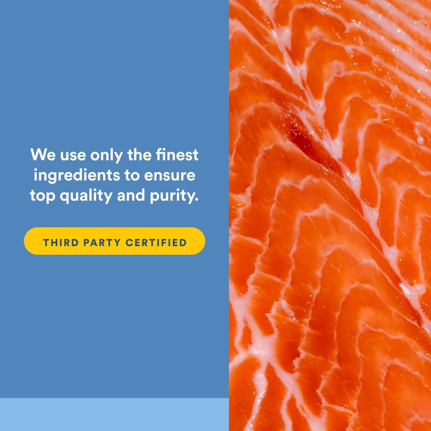 Natural Factors Wild Alaskan Salmon Oil Provides Omega-3, EPA, DHA & Vitamin D, Supports Brain & Heart Health, 180 Softgels - PrimeBioHealth - canada supplements