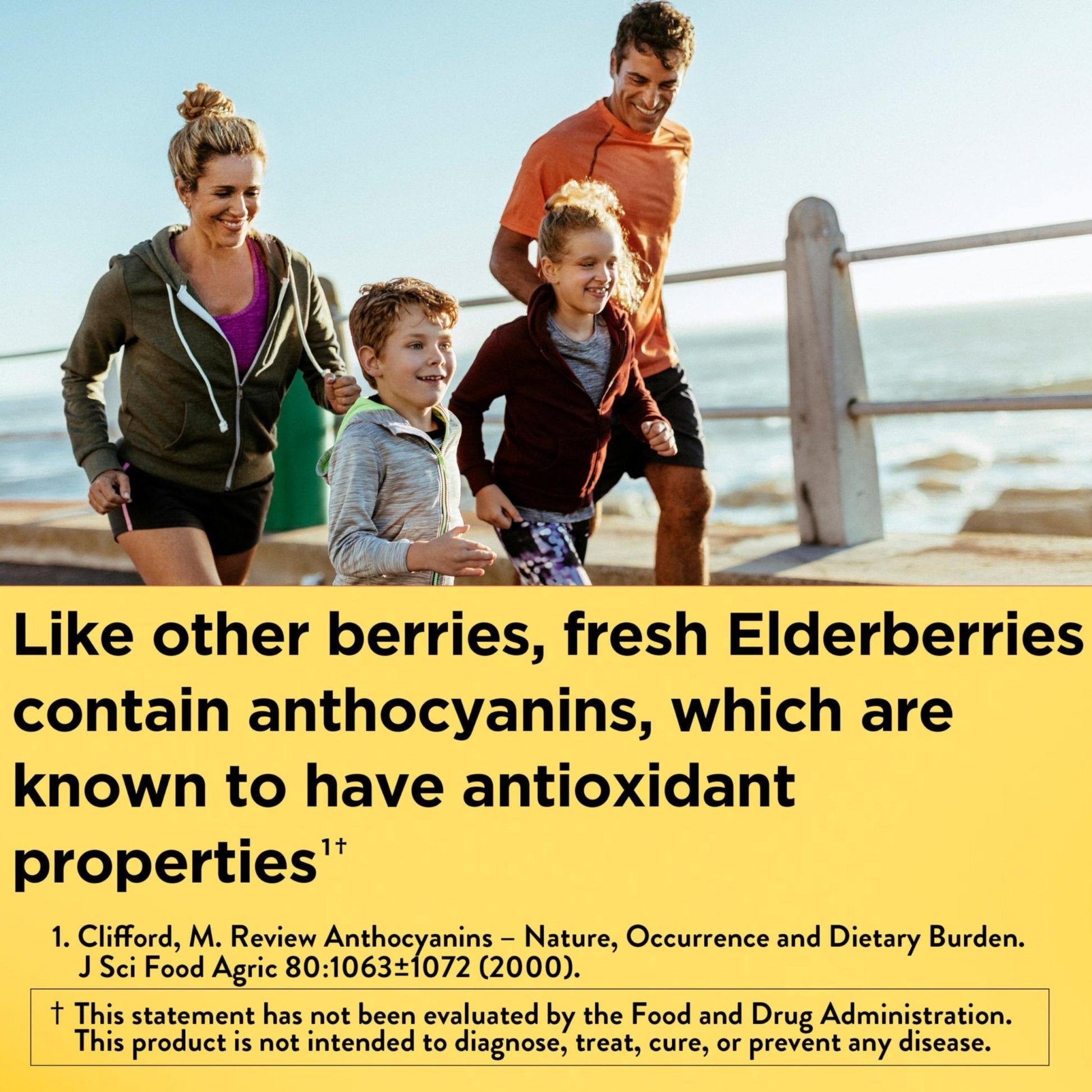 Nature Made Elderberry Gummies with Vitamin C and Zinc, Dietary Supplement for Immune Support - PrimeBioHealth - canada supplements