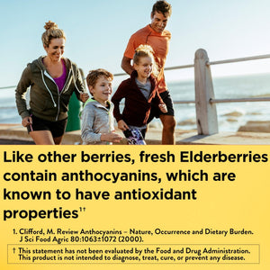 Nature Made Elderberry Gummies with Vitamin C and Zinc, Dietary Supplement for Immune Support - PrimeBioHealth - canada supplements