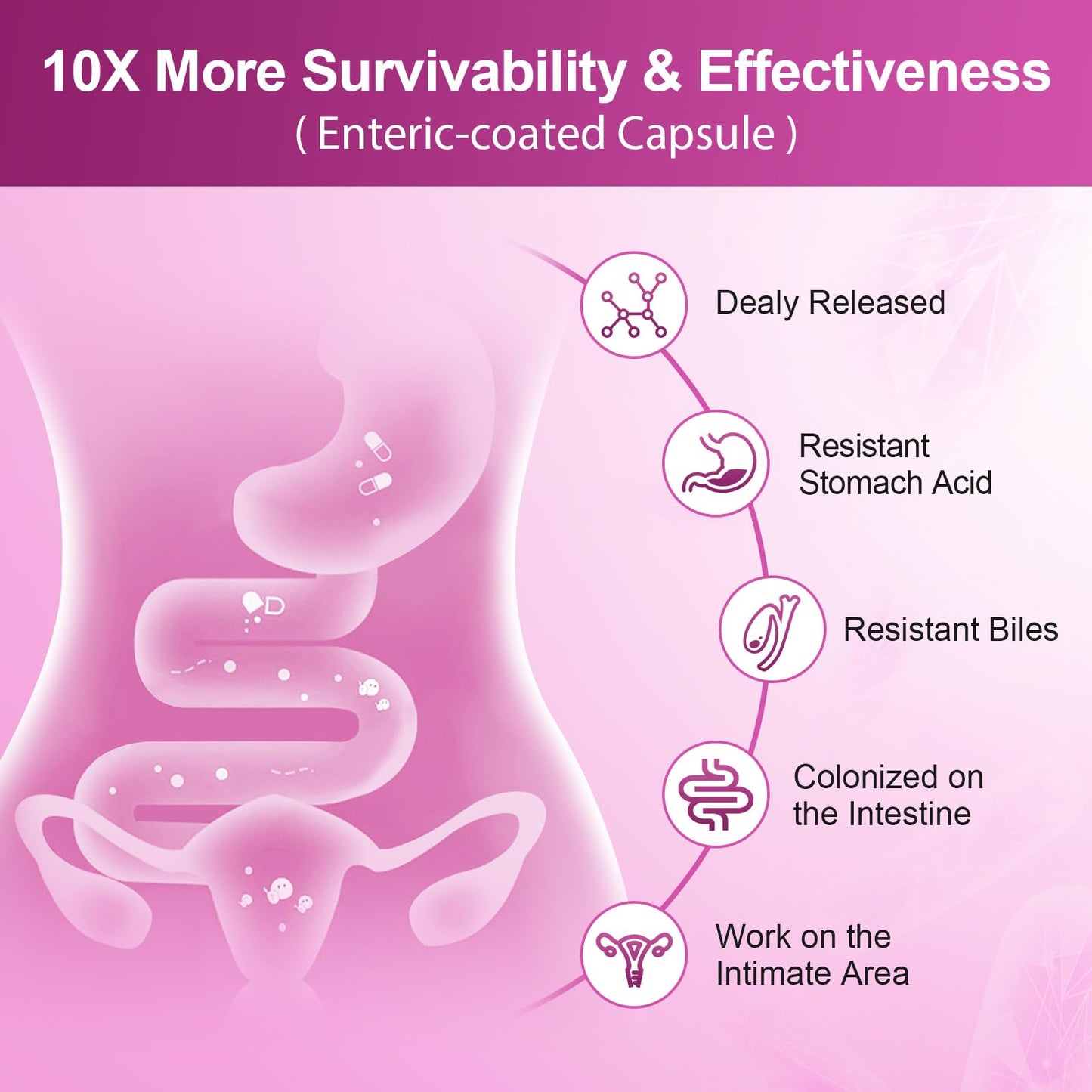 NATURE TARGET Probiotics for Women, 100 Billion CFUs Probiotic with Digestive Enzymes & Prebiotics, Vaginal Probiotics with Cranberry for Urinary Tract Health - PrimeBioHealth - canada supplements