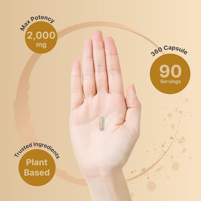 NatureBell Psyllium Husk Fiber Capsules 2,000mg Per Serving, 360 Caps | Soluble Fiber Supplement | 3-in-1 with Inulin & Chia Seed | Plant Based, Non-GMO, Gluten Free - PrimeBioHealth - canada supplements