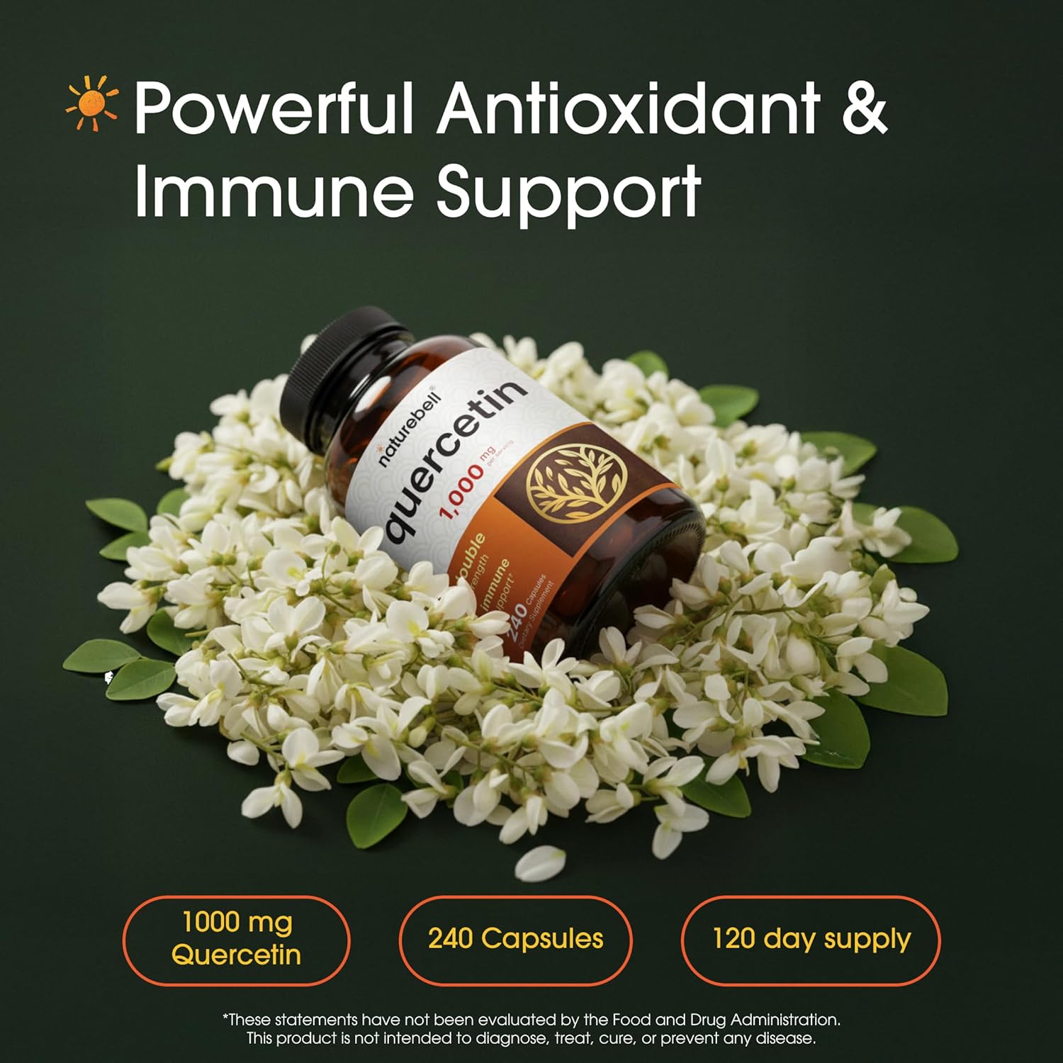 NatureBell Quercetin 1,000mg - 240 Capsules - Ultra Strength Supplement for Healthy Immune Support* - Quercetin Dihydrate from Sophora Japonica - 3rd Party Tested - Single-Ingredient Purity - PrimeBioHealth - canada supplements