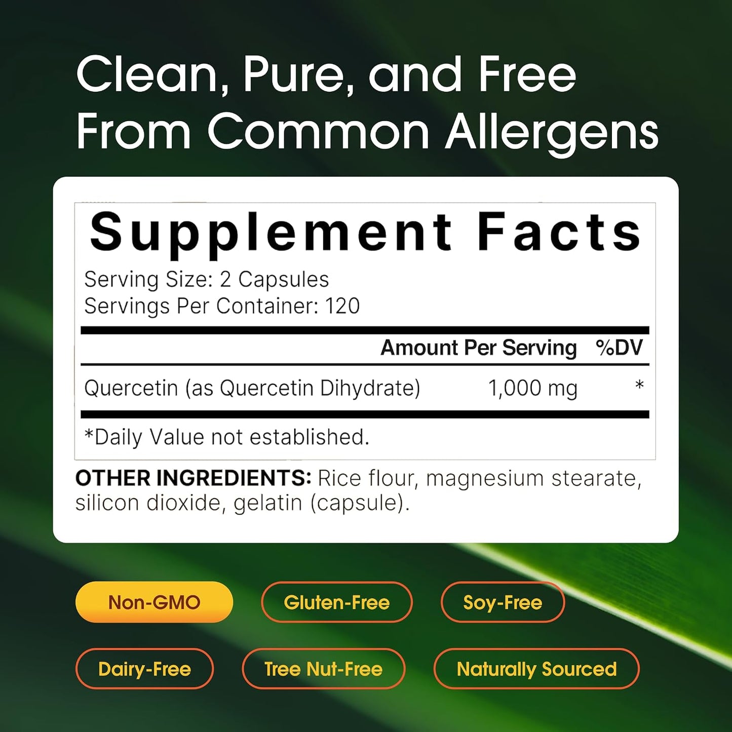 NatureBell Quercetin 1,000mg - 240 Capsules - Ultra Strength Supplement for Healthy Immune Support* - Quercetin Dihydrate from Sophora Japonica - 3rd Party Tested - Single-Ingredient Purity - PrimeBioHealth - canada supplements