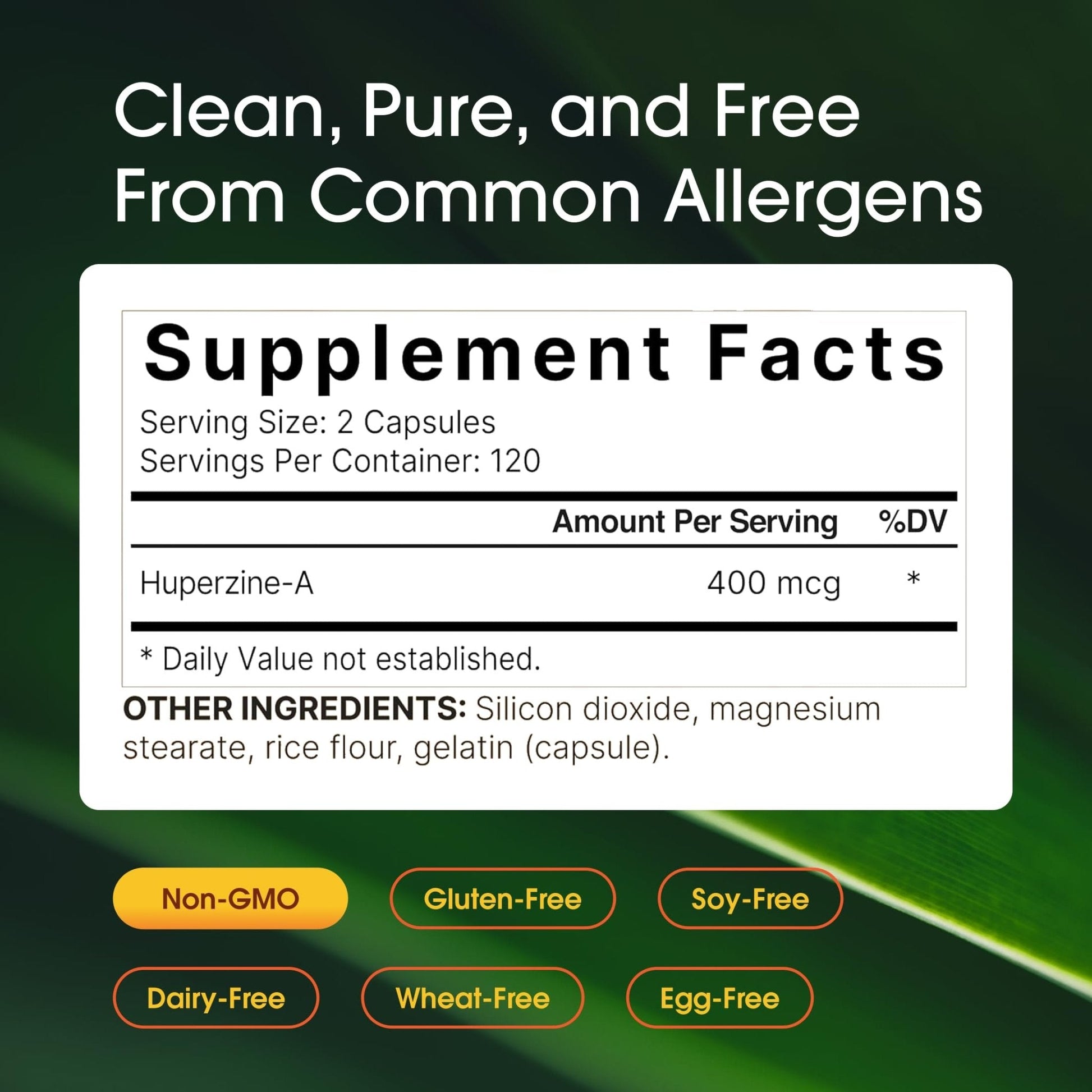 NatureBell Vitamin E 1,000 IU Per Serving - 300 Softgels - Antioxidant Supplement for Skin, Heart & Brain Health Support - PrimeBioHealth - canada supplements