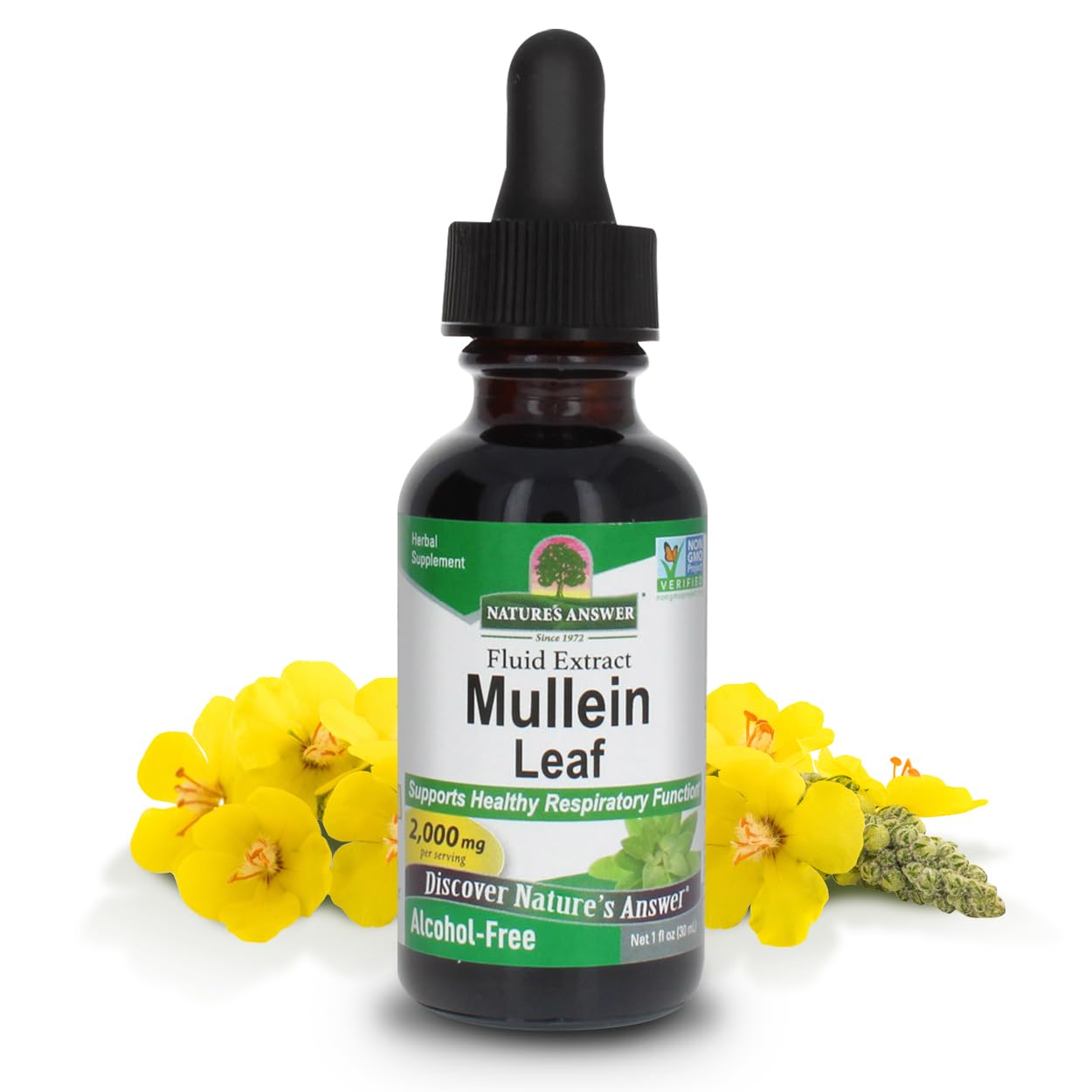 Nature's Answer Mullein Herb - Mullein Leaf Extract for Lungs - Alcohol Free, Non GMO, Made in USA - Supports Respiratory Function & Promotes Healthy Lungs - PrimeBioHealth - canada supplements