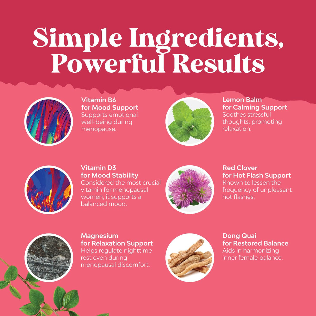 Natures Craft Complete Herbal Menopause Supplement for Women - Female Hormone Balance Capsules for Night Sweats Hot Flashes & Mood Swings with Dong Quai - PrimeBioHealth - canada supplements