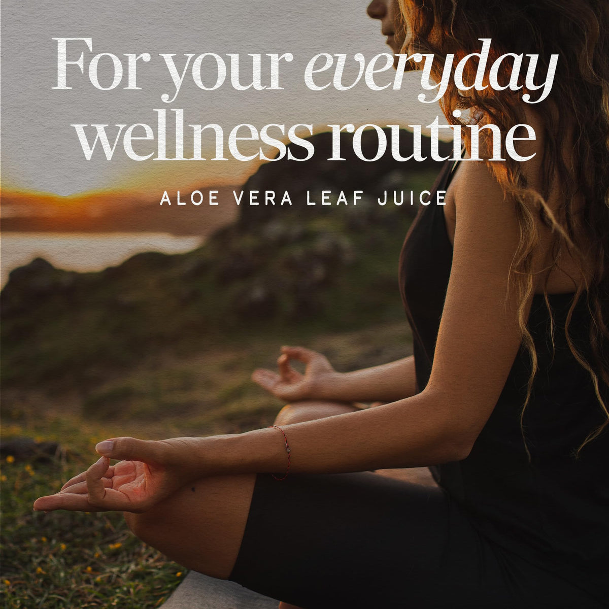 Nature’s Way Aloe Vera Leaf Juice, Flavorless Juice 99.5% Purified from Concentrate, Certified by The International Aloe Science Council, - PrimeBioHealth - canada supplements