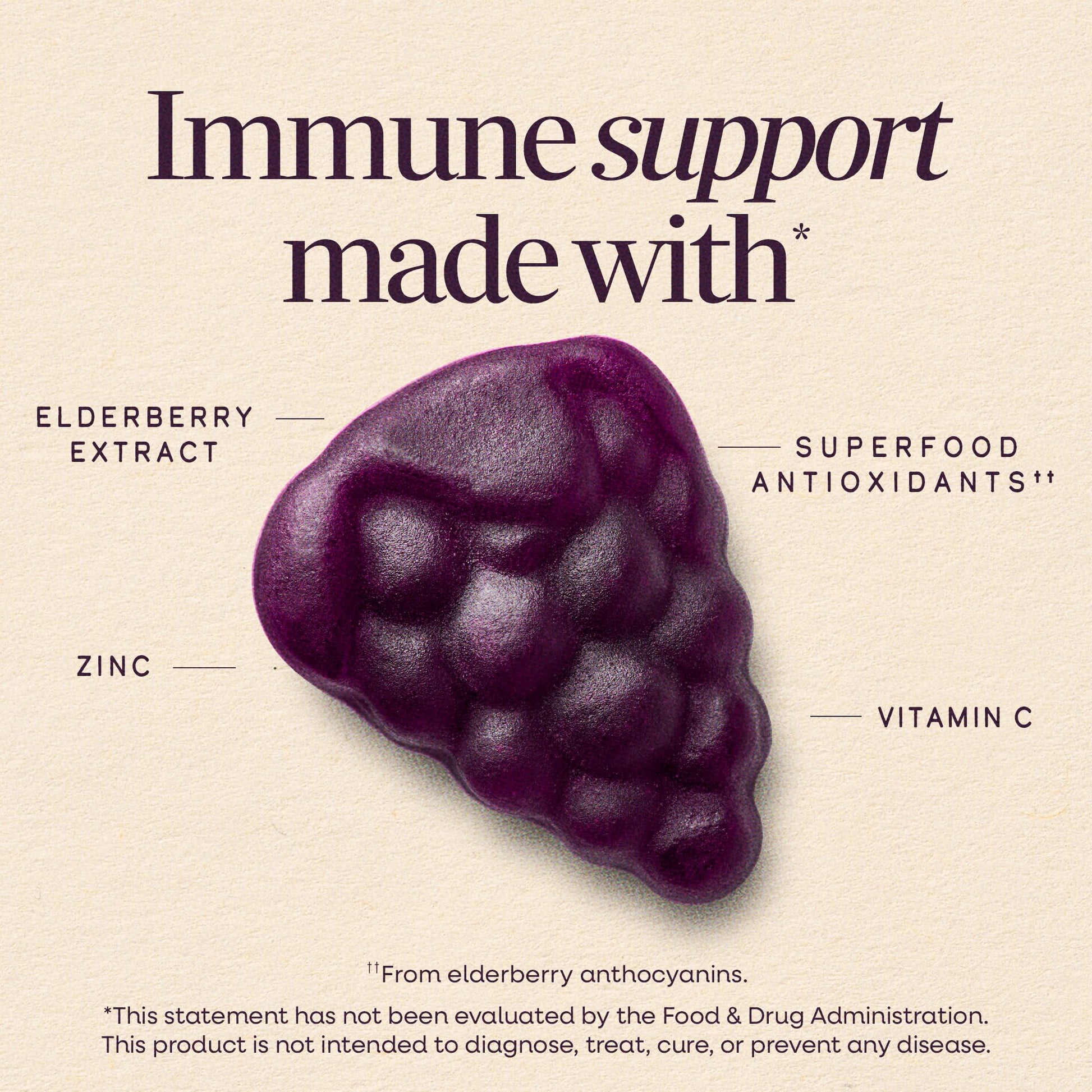 Nature’s Way Sambucus Kids Elderberry Immune Gummies with Black Elderberry Extract, Daily Immune Support Gummy with Vitamin C and Zinc - PrimeBioHealth - canada supplements