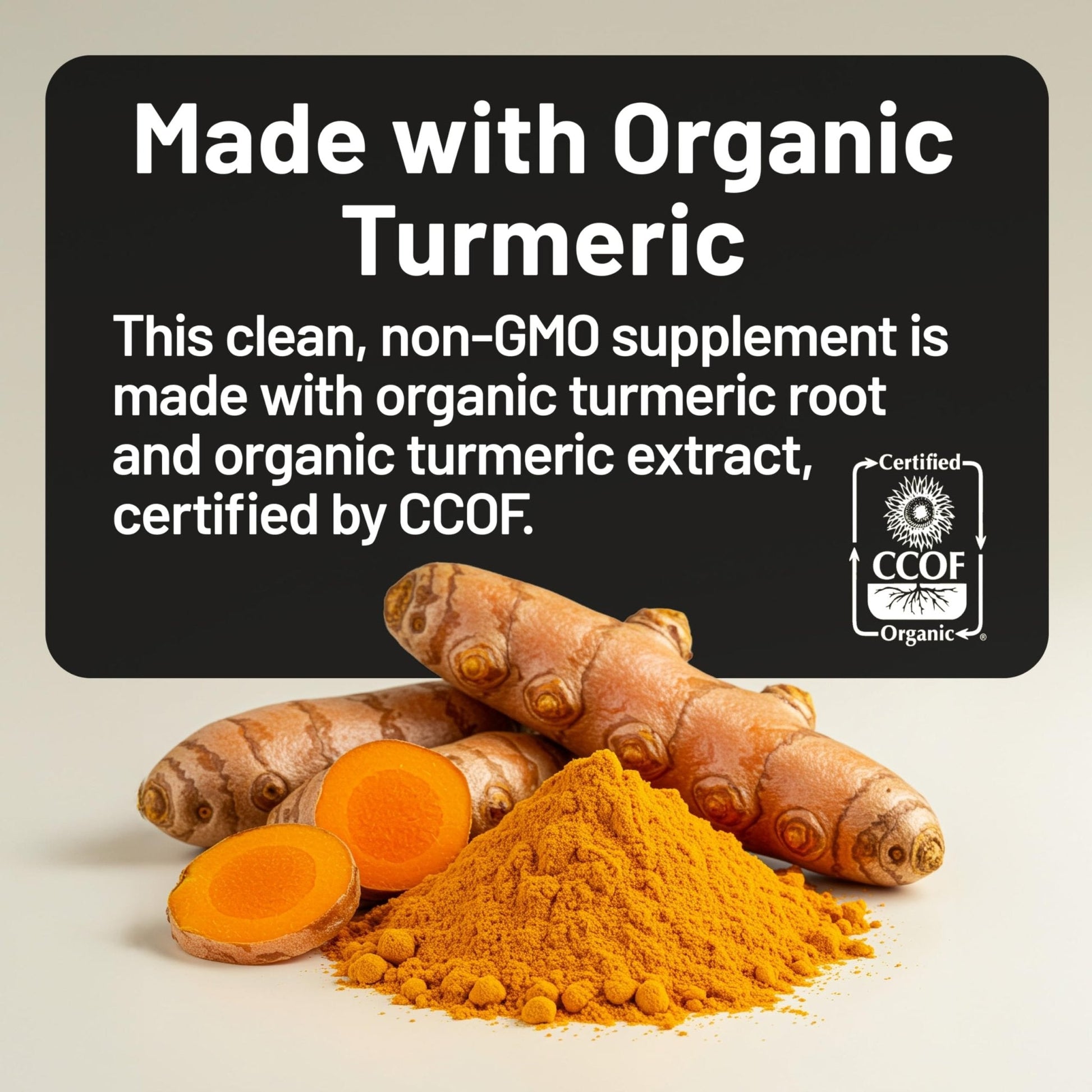NatureWise Curcumin Turmeric 2250mg - 95% Curcuminoids & BioPerine Black Pepper Extract for Advanced Absorption - Daily Joint and Immune Health Support - PrimeBioHealth - canada supplements