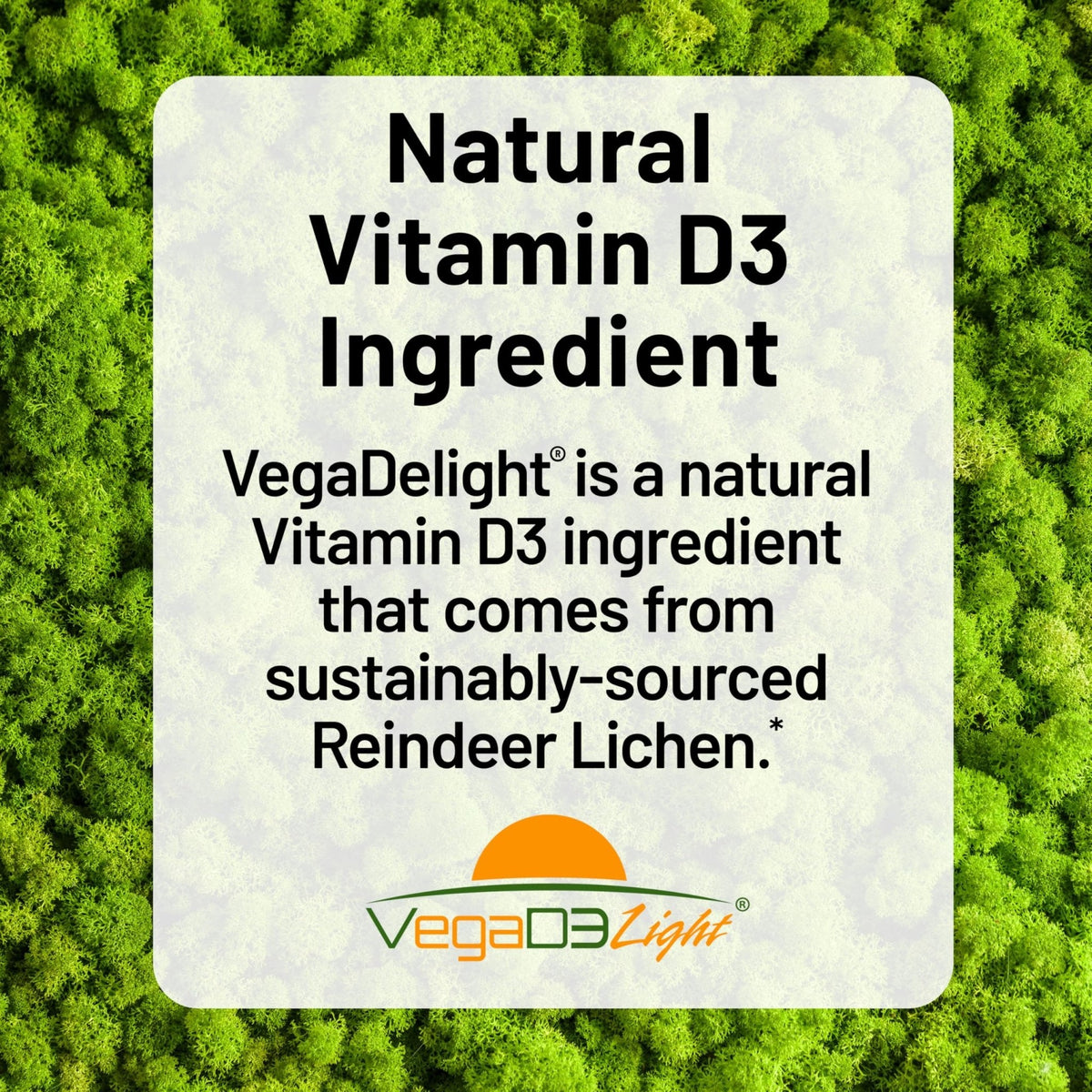 NatureWise Vegan Vitamin D3 + K2 - Natural D3 5000IU + Natural Vitamin K2 100mcg - Bone Support - High Absorption - PrimeBioHealth - canada supplements