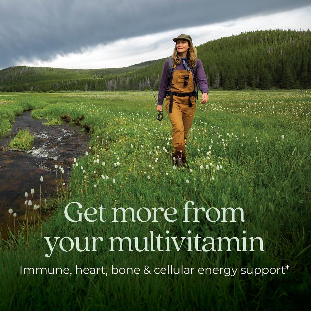New Chapter Women’s Multivitamin 55+, Astaxanthin, B6, B12, D3, Vitamin C & Zinc, Immune, Heart, Cellular Energy, and Bone Support, Gentle on The Stomach - PrimeBioHealth - canada supplements