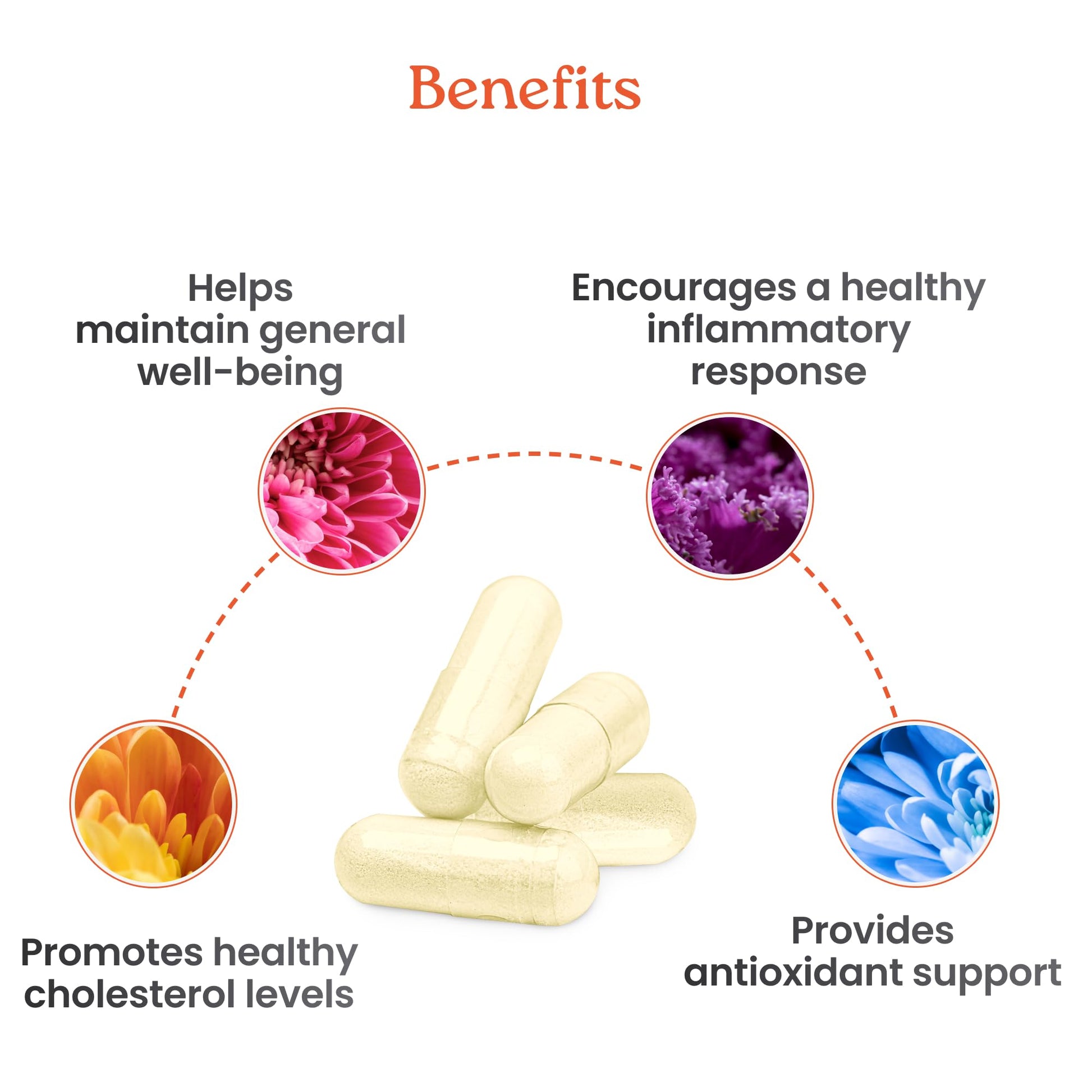 NewLife Naturals Citrus Bergamot Supplements 500 MG - Heart Health - Supplement for Wellness and Aging Support - PrimeBioHealth - canada supplements