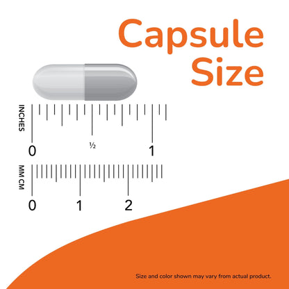 NOW Foods Supplements, L-Carnitine 500mg, Purest Form, Amino Acid, Fitness Support*, 60 Veg Capsules - PrimeBioHealth - canada supplements