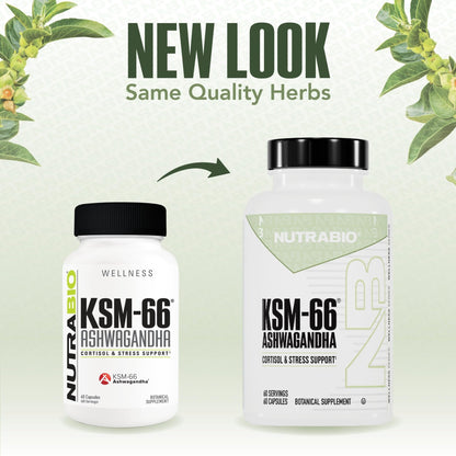 NutraBio Ashwagandha KSM-66 | Ashwagandha Herbal Supplement for Stress, Mood, & Performance | 600 MG of Clinically Studied KSM66 60 Capsules - PrimeBioHealth - canada supplements