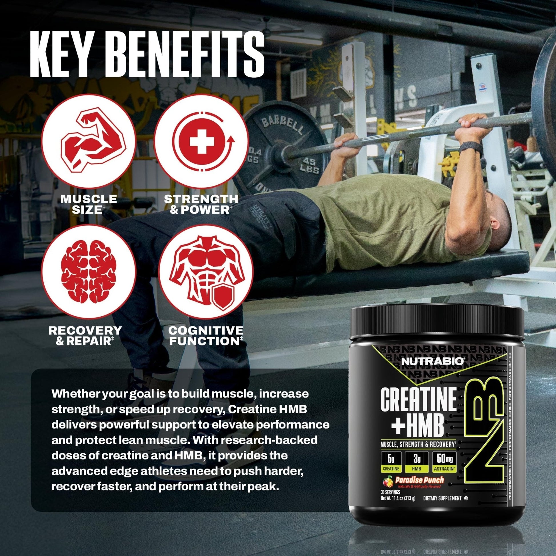NutraBio Creatine + HMB- Creatine Monohydrate with HMB Powder for Muscle Growth, Increased Strength- 30 Servings (Unflavored) - PrimeBioHealth - canada supplements