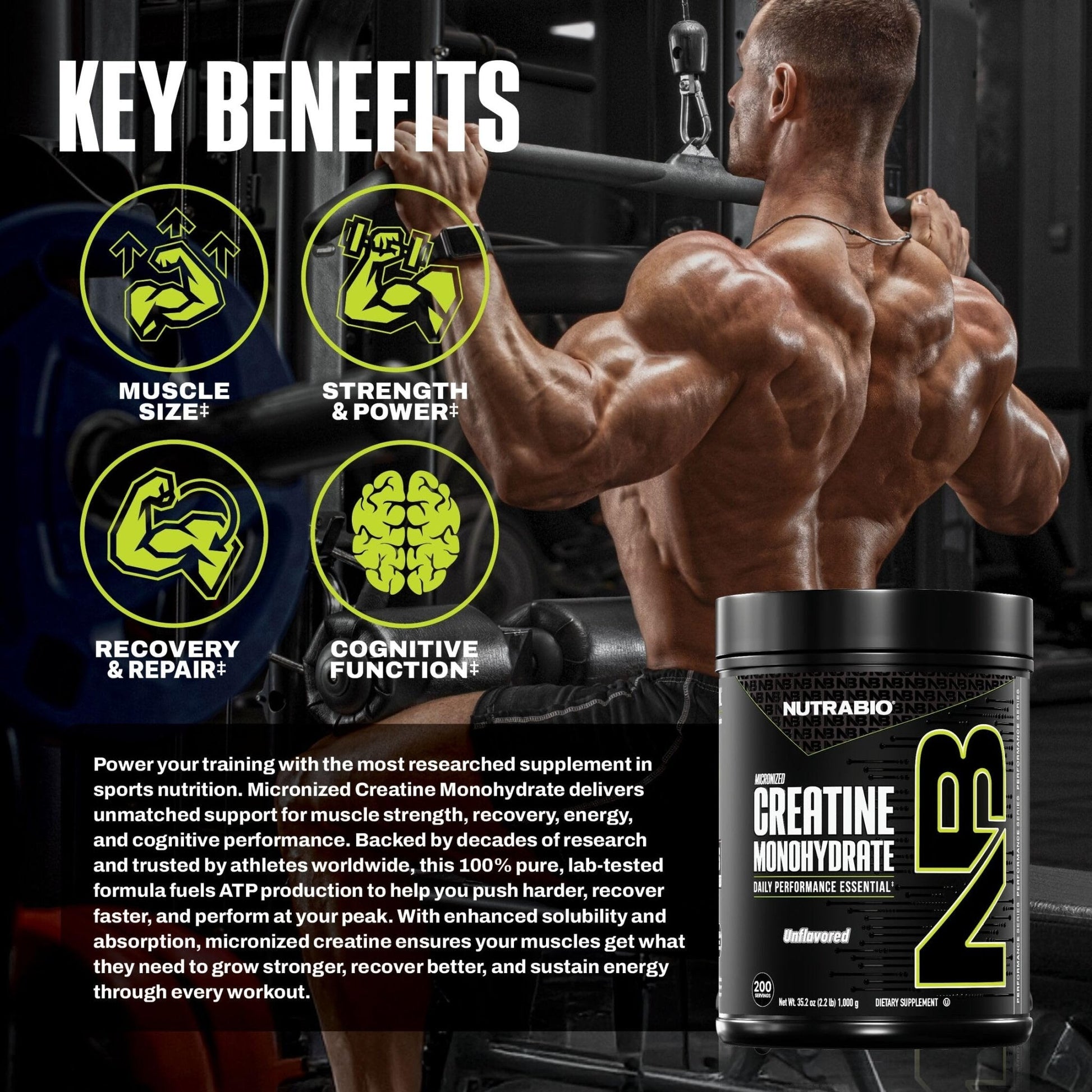 NutraBio Pure Micronized Creatine Monohydrate Powder Supplement, Unflavored, (300 g) - Supports Bulk Muscle Energy, Recovery, and Strength - HPLC Tested Creatine Powder Supplement for Men and Women - PrimeBioHealth - canada supplements