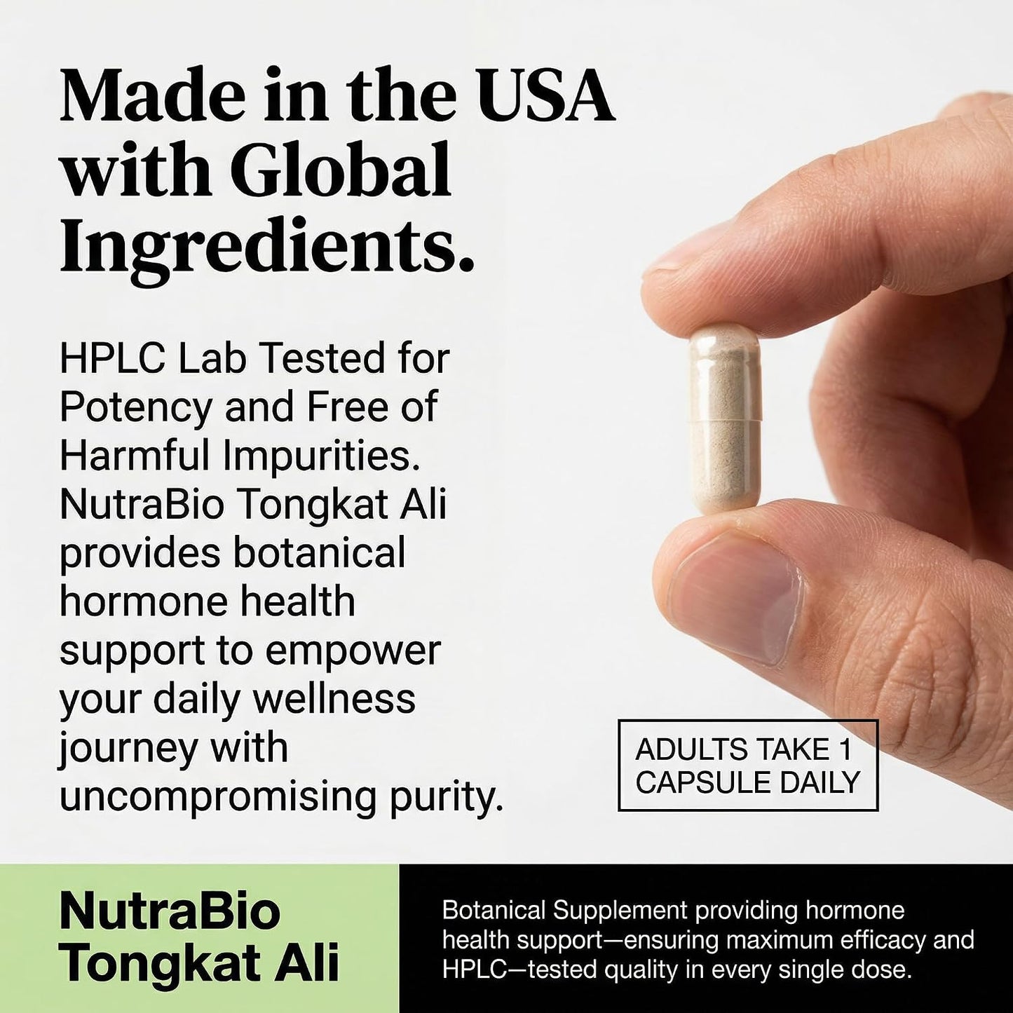 NutraBio Tongkat Ali Longjack 100 Supplement - Natural Support for Muscle Mass, Strength, Performance- Longjack Tongkat Ali for Men- 200mg per Capsule, 60 Servings - PrimeBioHealth - canada supplements