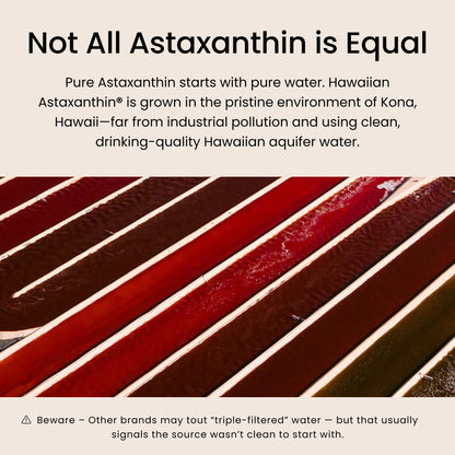 Nutrex Hawaii BioAstin Hawaiian Astaxanthin - 12mg, 90 Softgels - Farm-Direct Premium Antioxidant Supplement to Support Eye, Skin - PrimeBioHealth - canada supplements