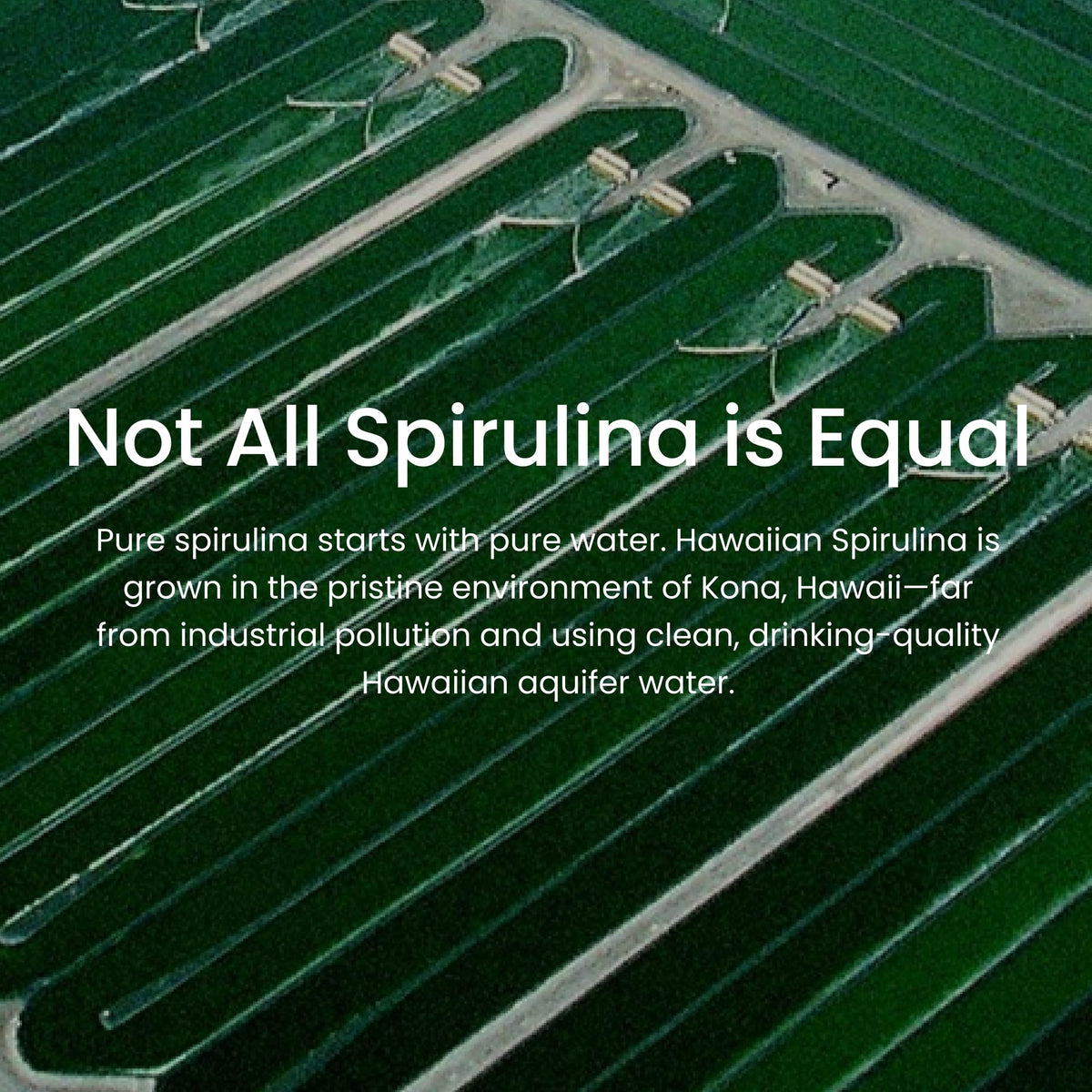 Nutrex Hawaii Pure Hawaiian Spirulina – Vegan Superfood, 500 mg Tablets, Farm Grown in Kona, Non-GMO - PrimeBioHealth - canada supplements