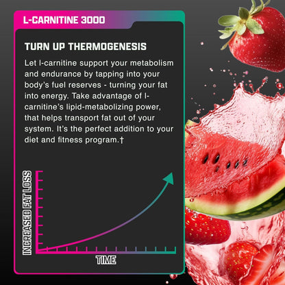 Nutrex Research L Carnitine 3000 - Clinically Dosed L-Carnitine Liquid for Energy, Metabolism & Muscle Recovery - Delicious Strawberry Watermelon - No Sugar, No Carbs - PrimeBioHealth - canada supplements