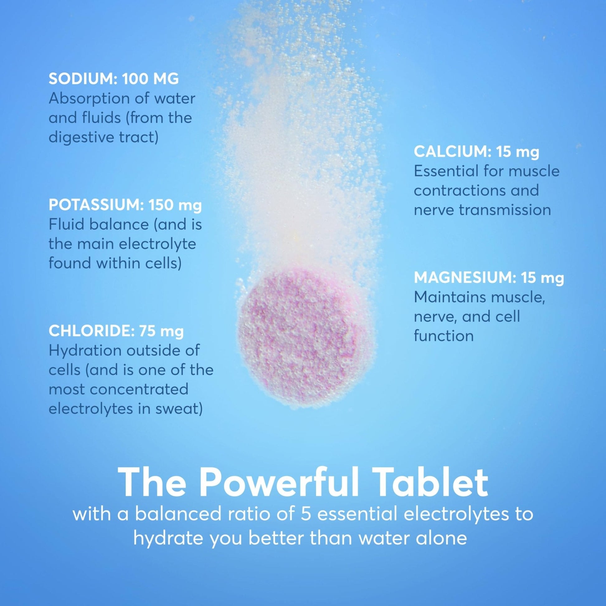 Nuun Vitamins Electrolyte Tablets with Vitamin D, C, E, A, & B6, Folic Acid, Magnesium & 4 Other Essential Electrolytes, Gluten Free & Vegan - PrimeBioHealth - canada supplements