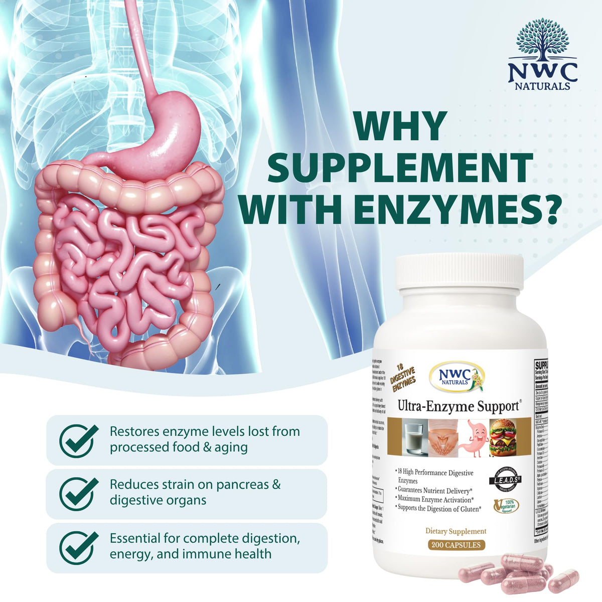 NWC Naturals Ultra-Enzyme Support, Natural Digestive Supplement, Promotes Optimal Health and Digestion, 200 count Capsules - PrimeBioHealth - canada supplements